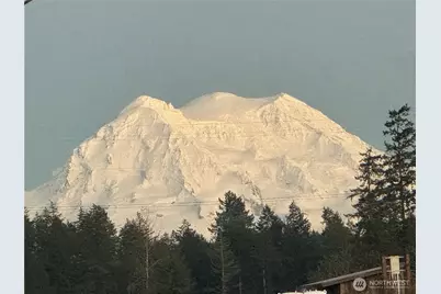 31319 555th Street E, Ashford, WA 98304 - Photo 15