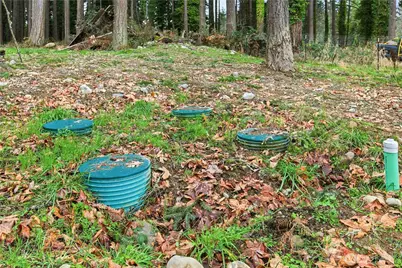 12120 S Clear Lake Road E, Eatonville, WA 98328 - Photo 13