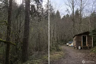 15102 Scott Turner Road E, Eatonville, WA 98328 - Photo 5