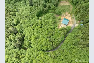 341 Parpala Road, Naselle, WA 98638 - Photo 13