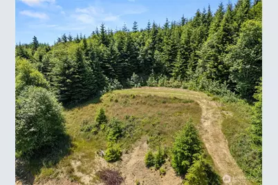 341 Parpala Road, Naselle, WA 98638 - Photo 11