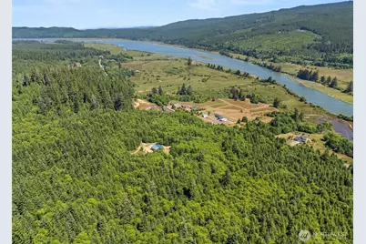 341 Parpala Road, Naselle, WA 98638 - Photo 3