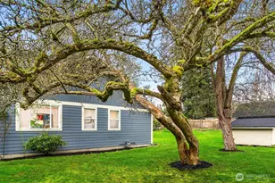 14004 17th Ave NE, Seattle, WA 98125 - Photo 35