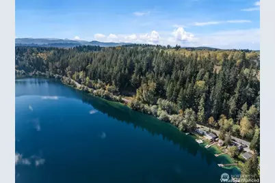 39217 Orville Road E, Eatonville, WA 98328 - Photo 25