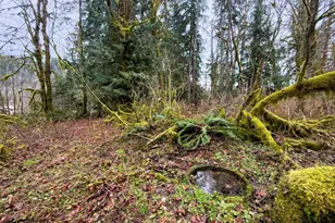 134 Tilton Dr, Morton, WA 98356 - Photo 1