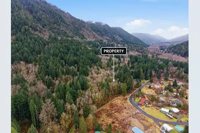 134 Tilton Drive, Morton, WA 98356 - Photo 11