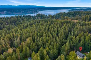 27820 140th Ave SW, Vashon, WA 98070 - Photo 39