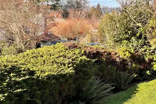 9818 61st Ave S, Seattle, WA 98118 - Photo 17