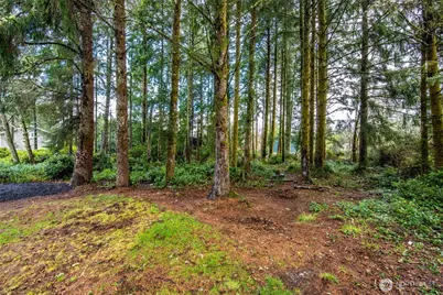 559 Weatherwax Loop NE, Ocean Shores, WA 98569 - Photo 31