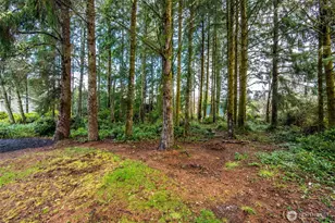 559 Weatherwax Loop NE, Ocean Shores, WA 98569 - Photo 31