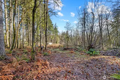 60 SE Mable Taylor Lane, Shelton, WA 98584 - Photo 3