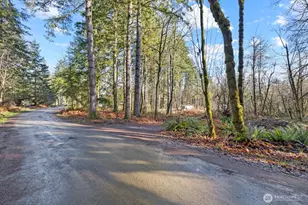 60 SE Mable Taylor Ln, Shelton, WA 98584 - Photo 1