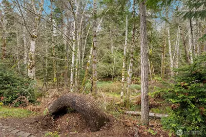 9240 Priddy Vista Road NW, Seabeck, WA 98380 - Photo 29