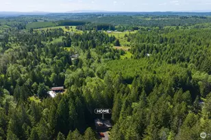 209 Alpha Way, Onalaska, WA 98570 - Photo 37