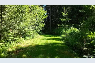 209 Alpha Way, Onalaska, WA 98570 - Photo 35