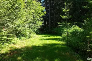 209 Alpha Way, Onalaska, WA 98570 - Photo 35