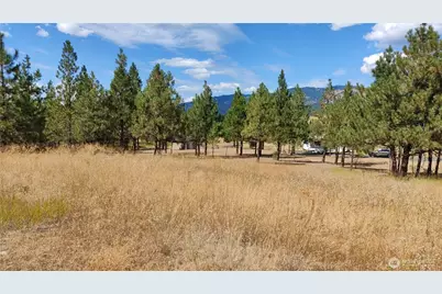 1640 Leo Lane, Cle Elum, WA 98922 - Photo 9