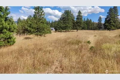 1640 Leo Lane, Cle Elum, WA 98922 - Photo 11