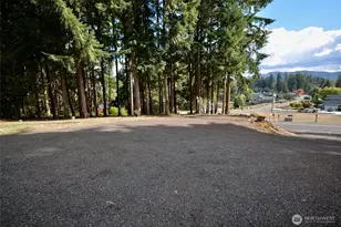 16205 Lindsay Rd SE, Yelm, WA 98597 - Photo 29