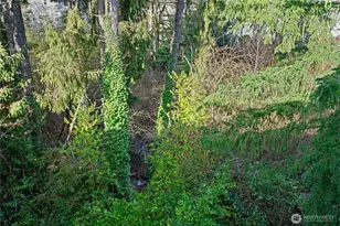 9904 NE 142nd Pl, Kirkland, WA 98034 - Photo 13