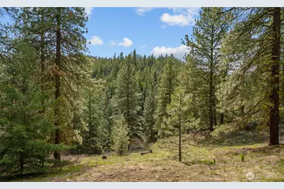0 Skull Springs Road, Cle Elum, WA 98922 - Photo 1