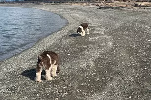 273 Marine Dr, Coupeville, WA 98239 - Photo 39