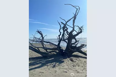 766 Ocean Court NW #114, Ocean Shores, WA 98569 - Photo 15