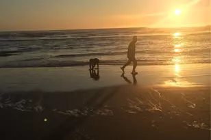 766 Ocean Ct NW, Ocean Shores, WA 98569 - Photo 19