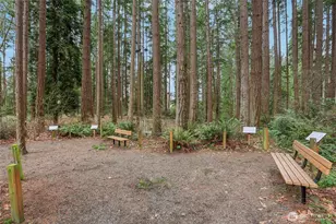 18917 76th Ave W, Lynnwood, WA 98036 - Photo 29