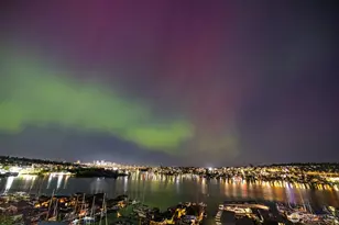 2420 8th Ave N, Seattle, WA 98109 - Photo 29