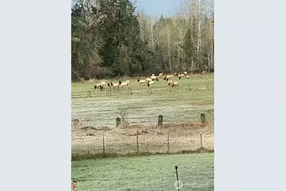 3925 Harts Lake Road S, Roy, WA 98580 - Photo 3