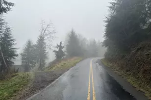 559 Upper Naselle Rd, Deep River, WA 98638 - Photo 27