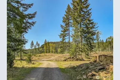 0 Craig Rd #Lot A1, Packwood, WA 98361 - Photo 5