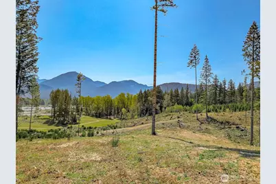 0 Craig Rd #Lot A1, Packwood, WA 98361 - Photo 3