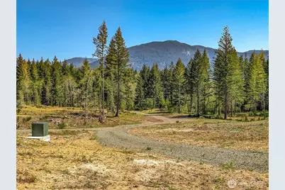 0 Craig Rd #Lot A1, Packwood, WA 98361 - Photo 7