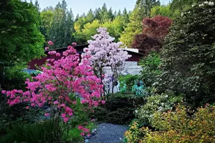 11202 204th Ave NE, Redmond, WA 98053 - Photo 31