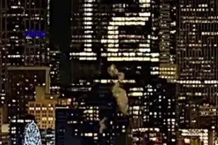 3414 33rd Ave SW, Seattle, WA 98126 - Photo 29