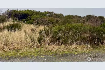 0 Xxx Dune Crest Drive, Westport, WA 98595 - Photo 13