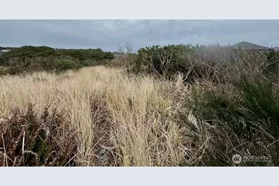 0 Xxx Dune Crest Drive, Westport, WA 98595 - Photo 9