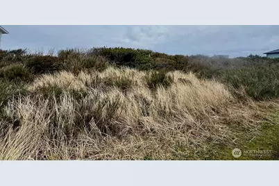 0 Xxx Dune Crest Drive, Westport, WA 98595 - Photo 15