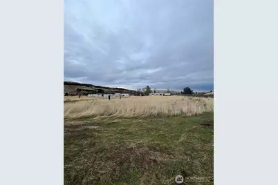 0 S. Pike Street, Washtucna, WA 99371 - Photo 11