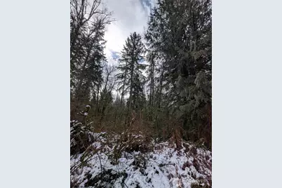 0 124th Street NE, Arlington, WA 98223 - Photo 9