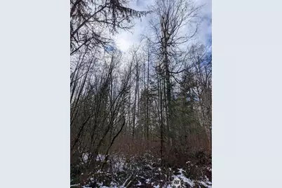 0 124th Street NE, Arlington, WA 98223 - Photo 7