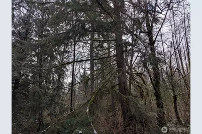 0 124th Street NE, Arlington, WA 98223 - Photo 5