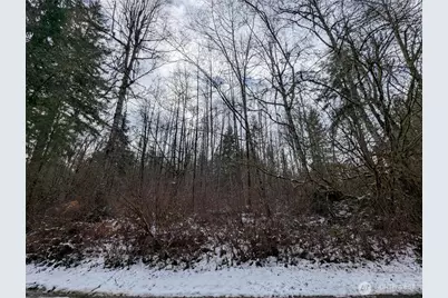 0 124th Street NE, Arlington, WA 98223 - Photo 3