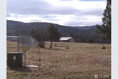 0 Lot54&55 Heron Loop, Republic, WA 99166 - Photo 7