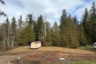 41 E Wildwood Ln, Brinnon, WA 98320 - Photo 1