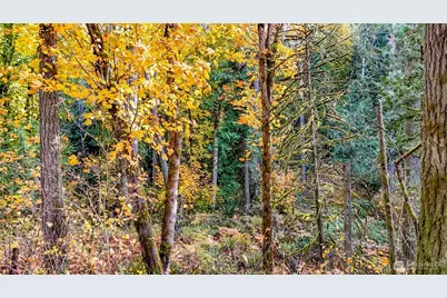 18313 Patterson Road E, Orting, WA 98360 - Photo 3