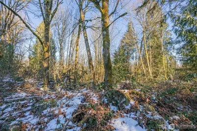 218 Xx E Lost Lake Road, Snohomish, WA 98296 - Photo 7