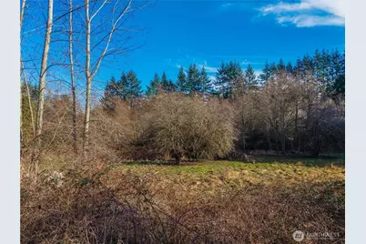 10330 56th St SE, Snohomish, WA 98290 - Photo 19